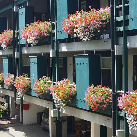 Terrassenpark Apartments Sasbachwalden Esterno foto