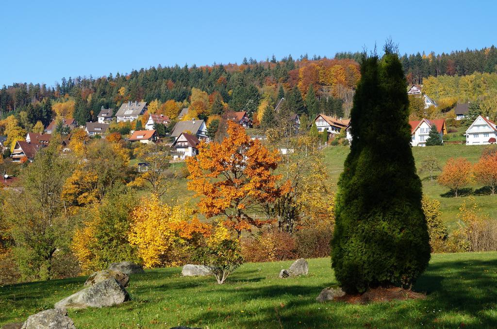 Terrassenpark Apartments Sasbachwalden Esterno foto