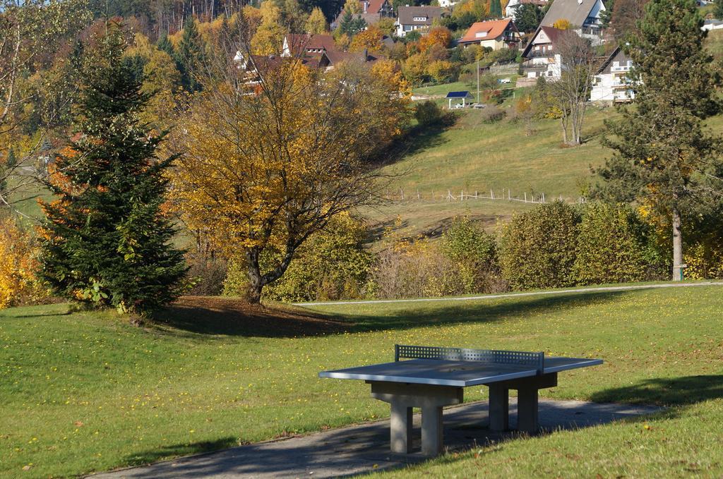 Terrassenpark Apartments Sasbachwalden Esterno foto