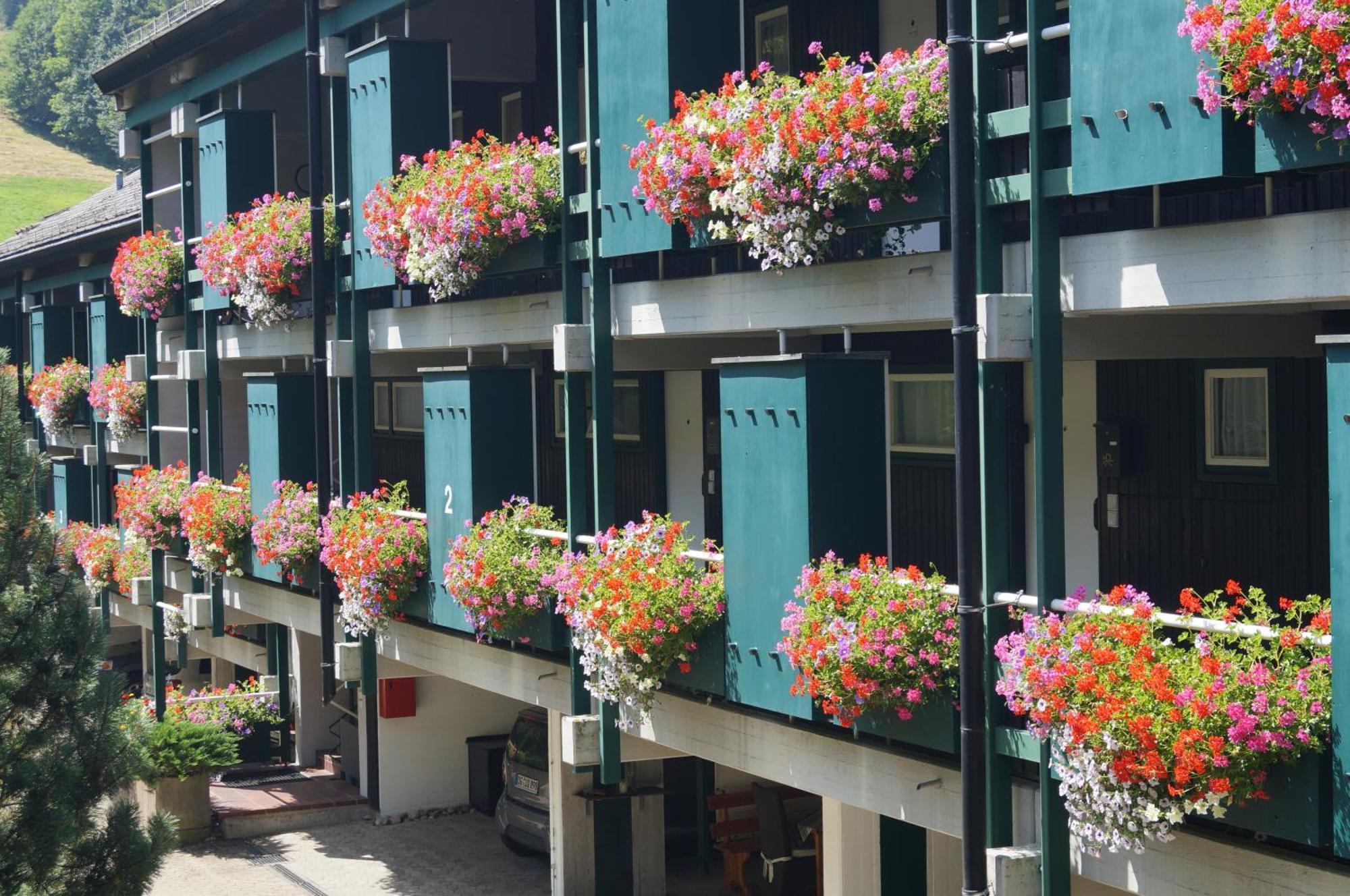 Terrassenpark Apartments Sasbachwalden Esterno foto